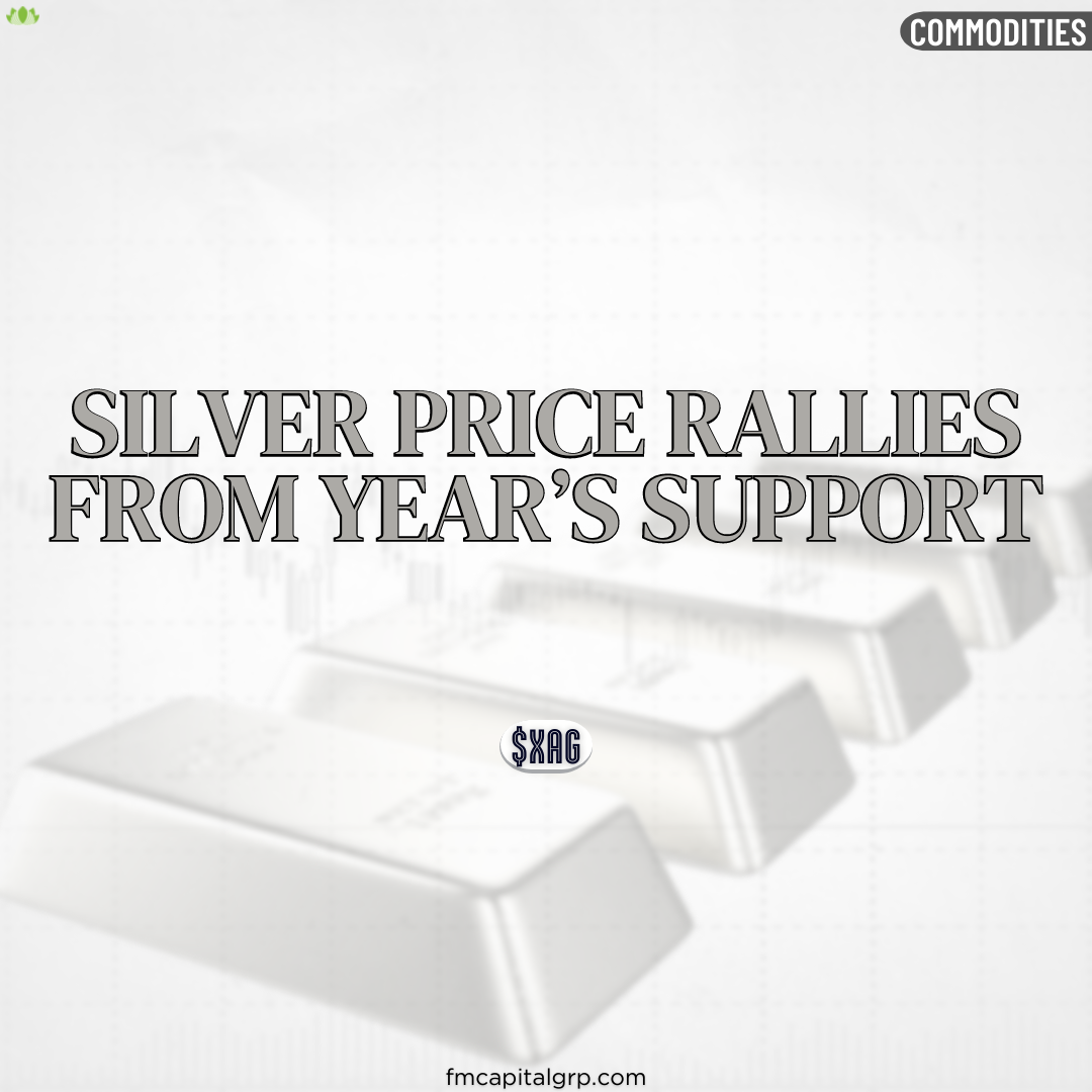 Silver Price Rallies From Year's Support